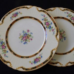 VTG set of 2 Myott Staffordshire England Bread & Butter Plates Floral Rose Chic